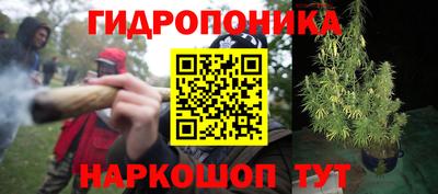 мяу мяу мука Канаш