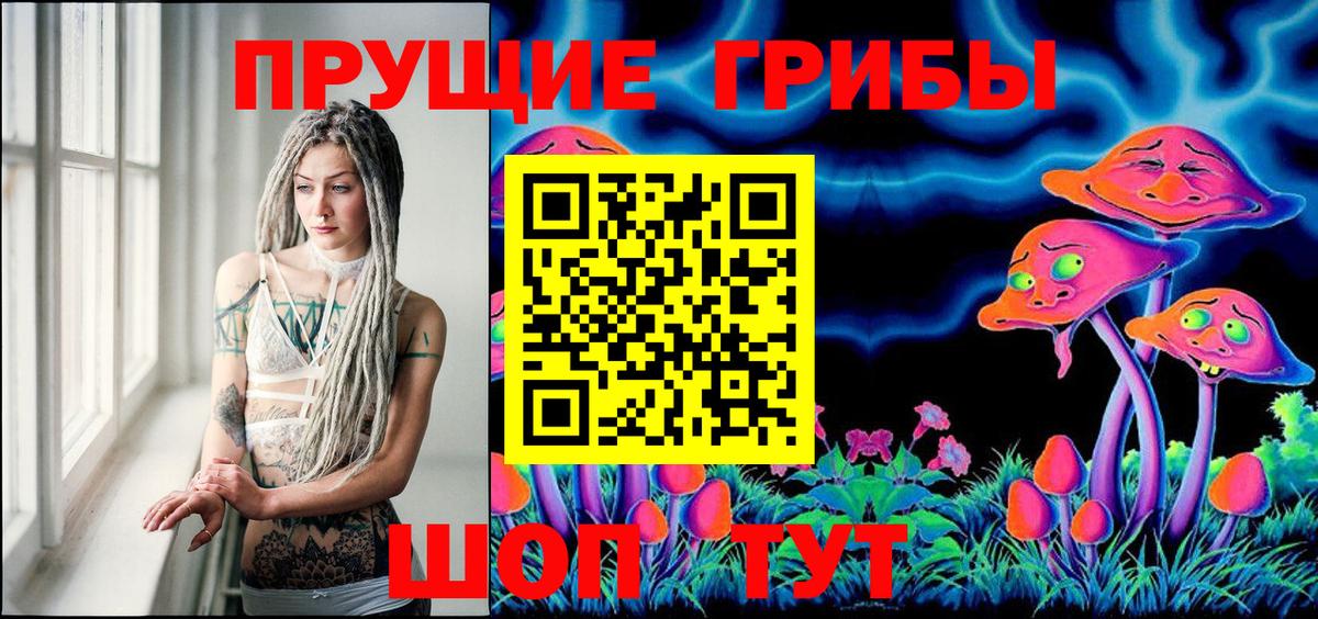 Галлюциногенные грибы Psilocybe Нефтеюганск